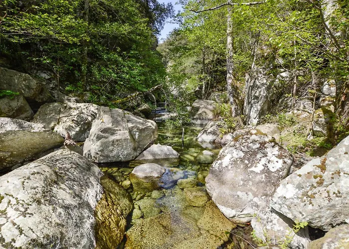 Appartement Stunning In